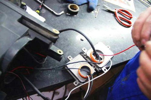 汽车疝气灯泡多少钱 汽车疝气灯泡多少钱