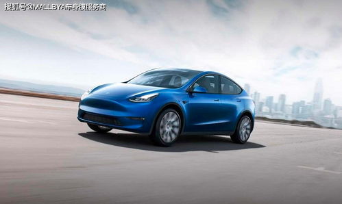 特斯拉汽车车衣多少钱
