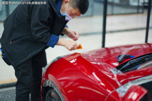 特斯拉汽车车衣多少钱