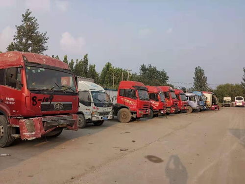 回收汽车报废大灯多少钱 回收汽车报废大灯多少钱