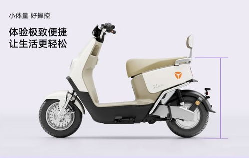 爱玛电动汽车多少钱