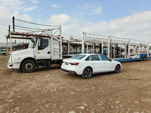 汽车从北京托运到三亚多少钱