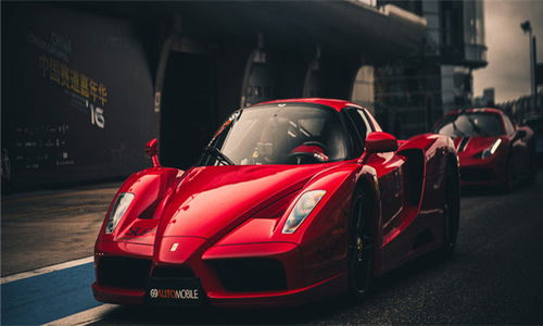 汽车过户违约金多少