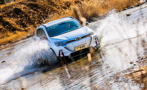 汽车涉水脱险多少钱