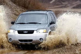 汽车涉水脱险多少钱