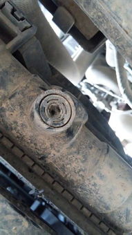 汽车水箱可以放多少水位