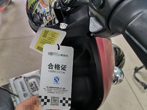 电动汽车驾驶证多少钱