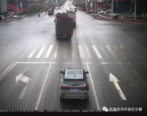 汽车违反交通罚款多少元