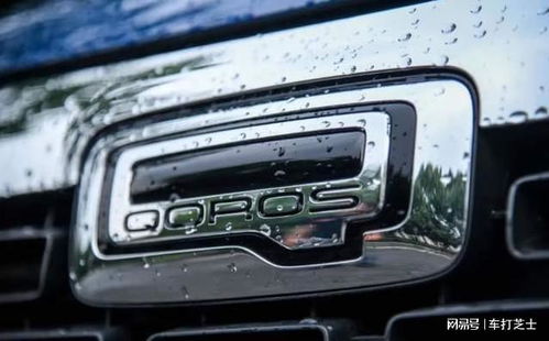 观致汽车欠多少 观致汽车欠多少