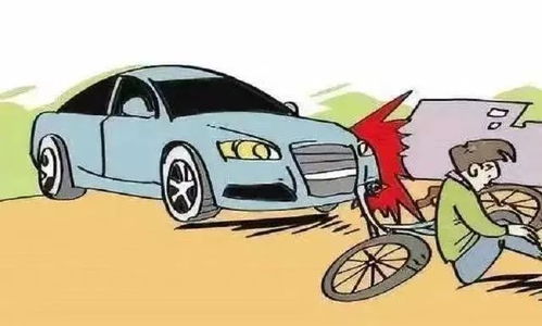 汽车碰到猪头赔多少钱