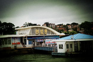 鼓浪屿汽车轮渡多少钱