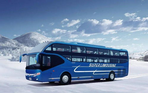 鼓浪屿汽车轮渡多少钱