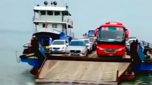 鼓浪屿汽车轮渡多少钱