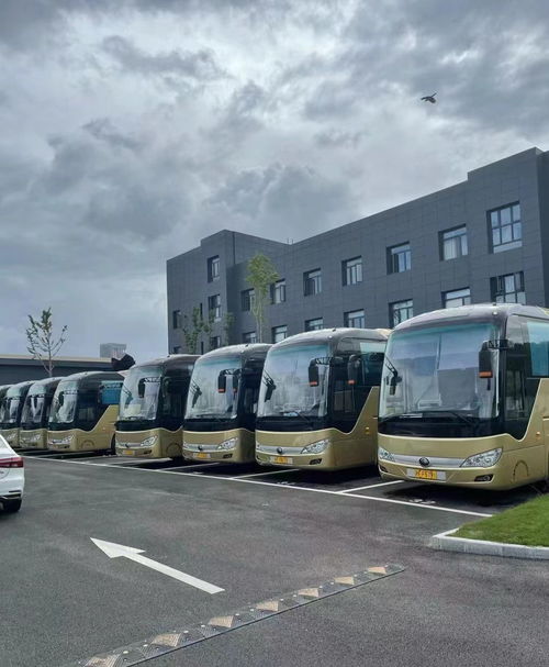 肃宁到深州汽车多少钱 肃宁到深州汽车多少钱
