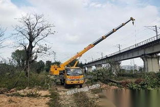 福建汽车起重机功率多少
