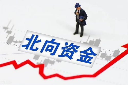 女儿接班首年天齐锂业巨亏79亿