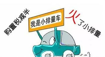 汽车排量的多少是标准