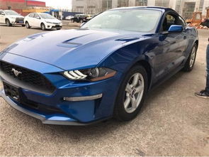 野马黑帅汽车多少钱 野马黑帅汽车多少钱