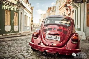 汽车球轮多少钱