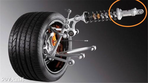 汽车悬架多少钱