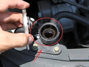 汽车如何看机油加到多少