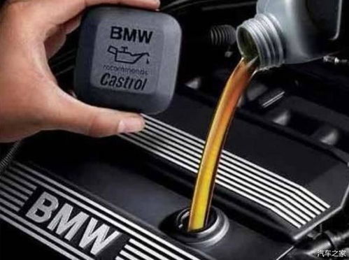汽车如何看机油加到多少