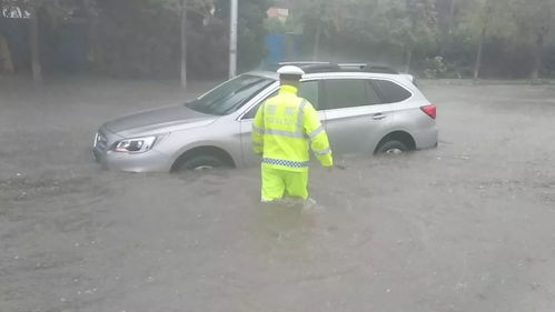 廊坊汽车牌照多少钱 廊坊汽车牌照多少钱