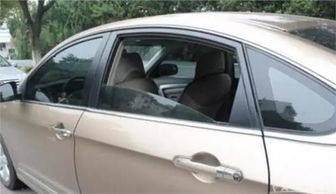 汽车后面多少厘米算高位