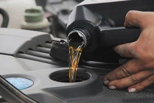 汽车保养要加多少机油