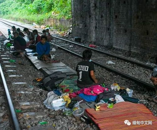 在缅华人:没有铺盖睡在马路边
