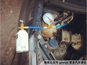 汽车雪种要加多少