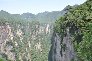 吉首到张家界汽车多少钱