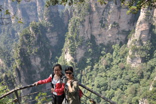 吉首到张家界汽车多少钱