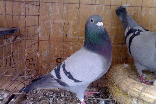 汽车水杯空间多少合适啊 汽车水杯空间多少合适啊