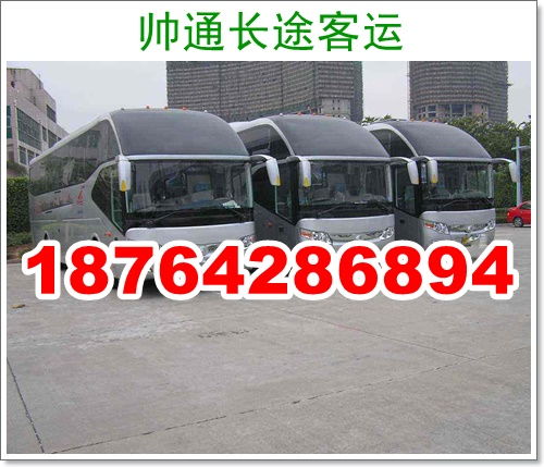 商丘到洛阳汽车多少钱