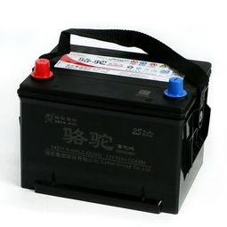 福特汽车蓄电池多少钱