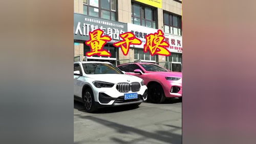 汽车思维子得多少钱 汽车思维子得多少钱