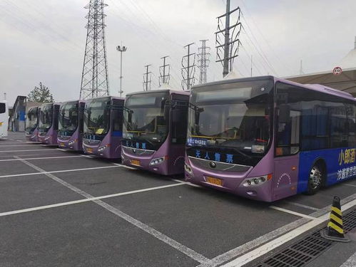 开封到郑州汽车多少钱