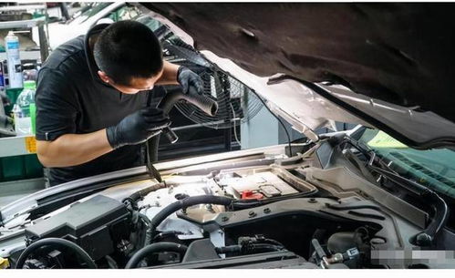 汽车首保要多少钱