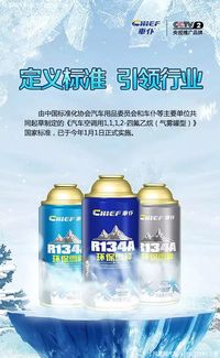汽车雪种加多少毫升 汽车雪种加多少毫升