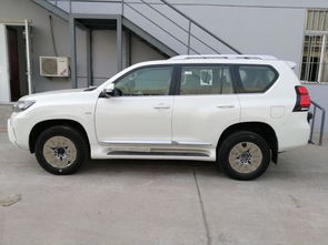 威猛霸道汽车价格多少