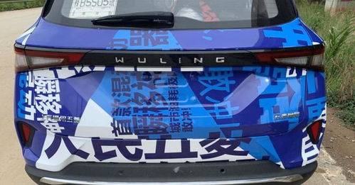 五菱汽车的广告投入多少 五菱汽车的广告投入多少