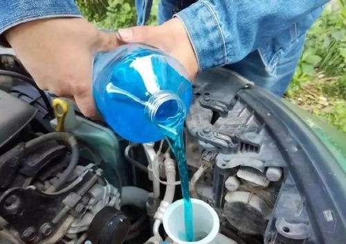 汽车玻璃水多少钱一瓶