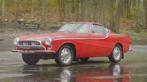 美国汽车多少辆