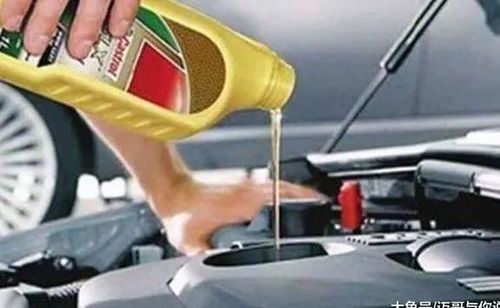 汽车油加满跑多少公里