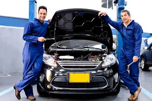 汽车保护套多少钱