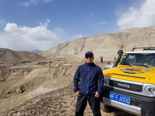 林海电动汽车多少钱