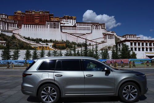 林海电动汽车多少钱