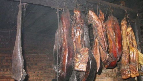 包头回原平汽车多少钱