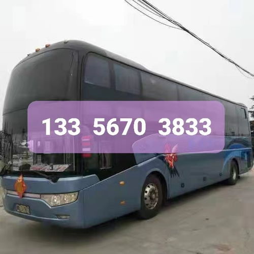 威海到石岛汽车多少钱